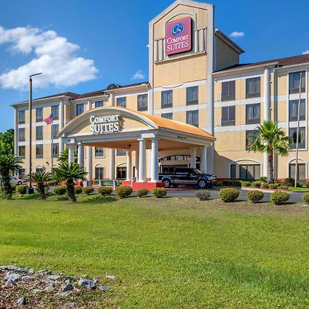 Comfort Suites Savannah Gateway I-95 Georgetown Kültér fotó